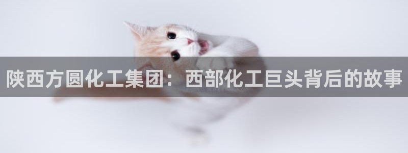 球盟会里面有打牌的嘛是真的吗