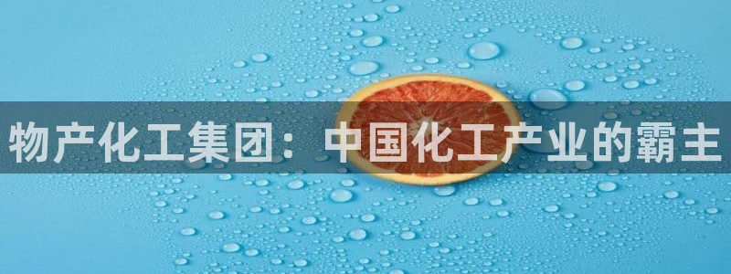 球盟会吧