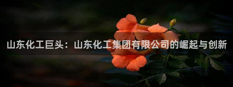 球盟会可以提现么