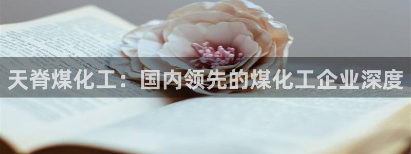 球盟会体验金