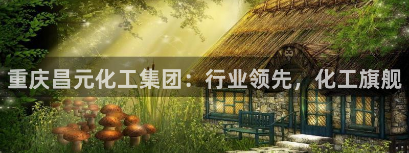 球盟会最新网