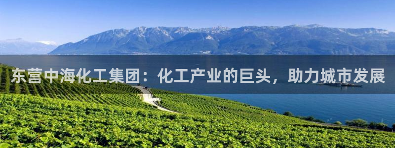 球盟会游戏