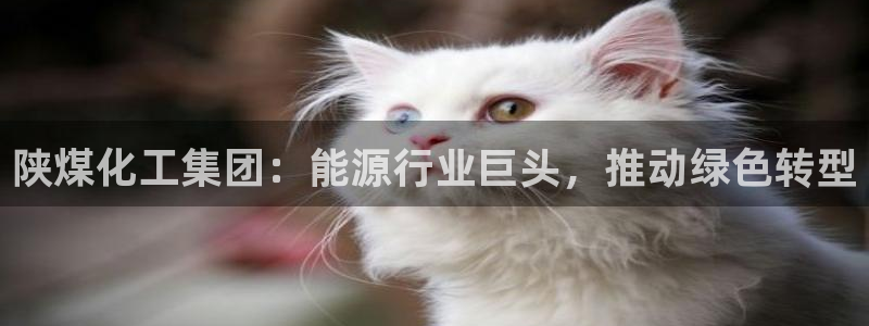 球盟会黑台子