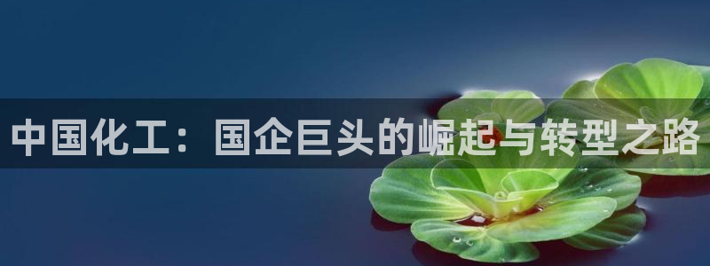 球盟会(中国)官方网站