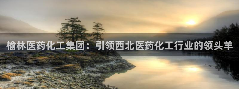 球盟会qmh官网