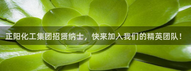 球盟会官方网站入口