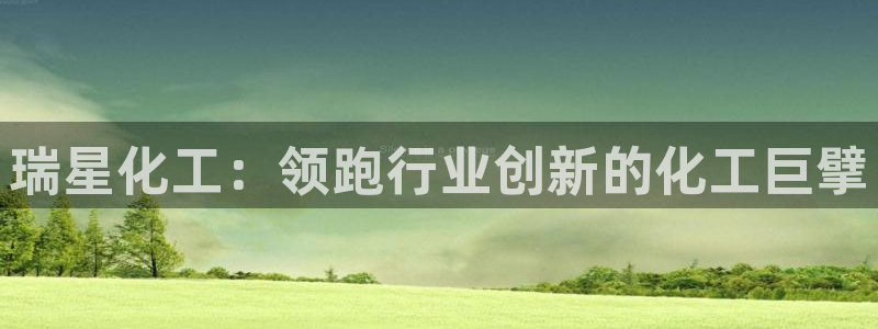 球盟会官网app下载：瑞星化工：领跑行业创新的化工巨擘
