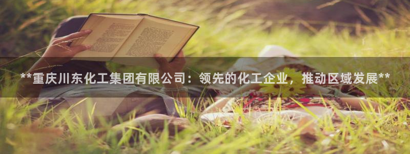 球盟会唯一：**重庆川东化工集团有限公司：领先的化工企业，推