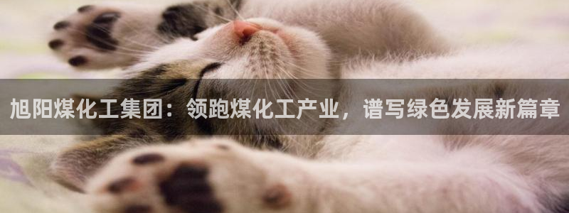 球盟会qmh网址