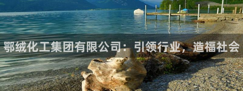 球盟会官方入口