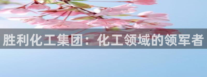 球盟会网址