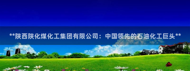 球盟会官方下载：**陕西陕化煤化工集团有限公司：中国领先的石