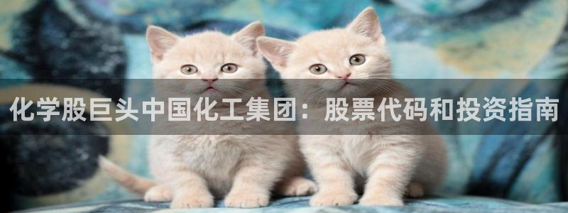 球盟会有限公司怎么样