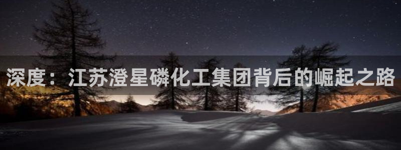 球盟会电子
