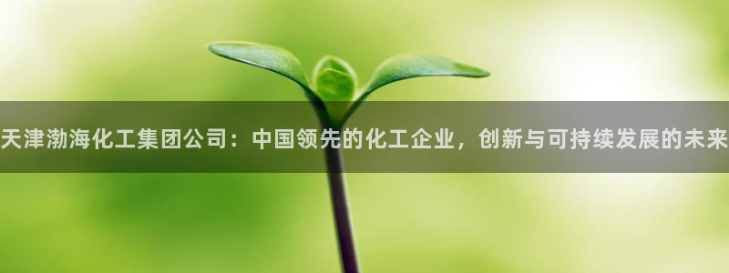 球盟会综合体育平台：天津渤海化工集团公司：中国领先的化工企业