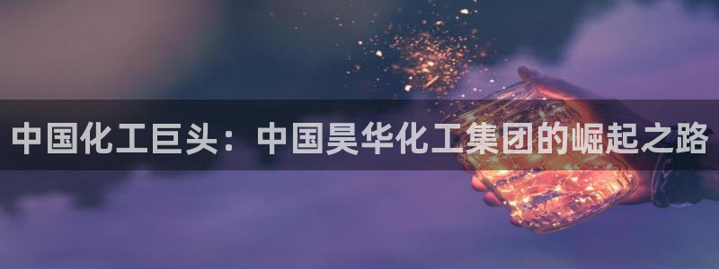 球盟会官方入口