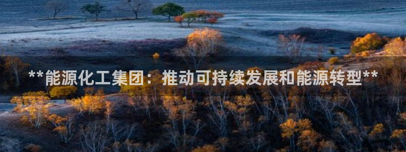 球盟会网页登录：**能源化工集团：推动可持续发展和能源转型*