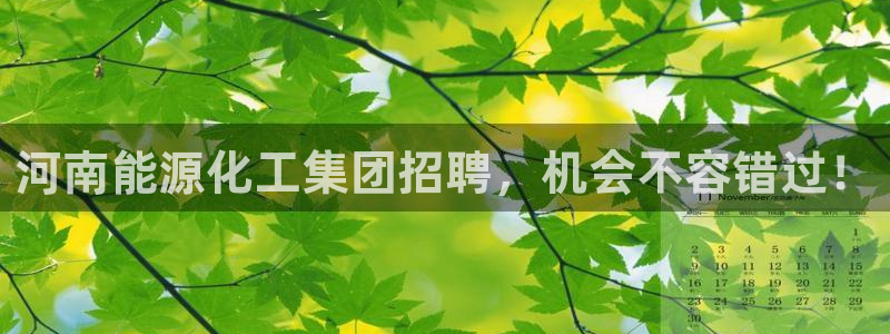 球盟会和中欧