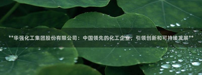 球盟会官方登录平台入口：**华强化工集团股份有限公司：中国领
