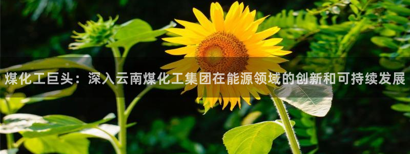 球盟会里面有打牌的嘛知乎：煤化工巨头：深入云南煤化工集团在能