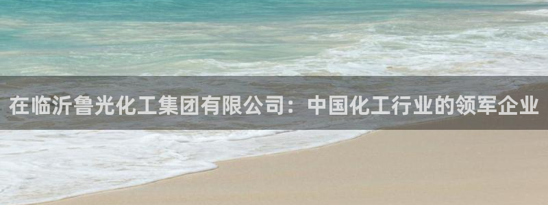 球盟会和中欧合作吗：在临沂鲁光化工集团有限公司：中国化工行业