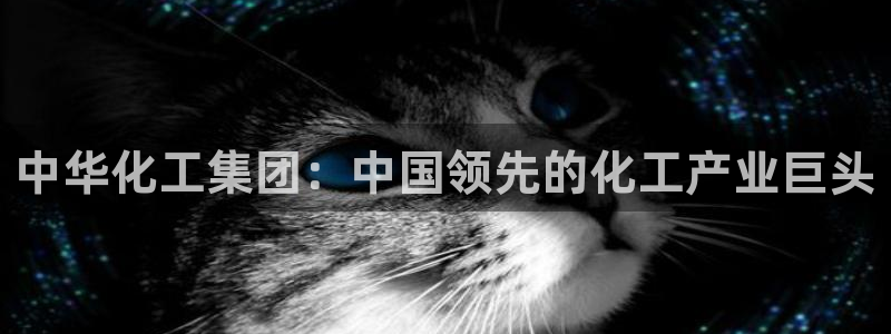 球盟会黑款吗还是白款：中华化工集团：中国领先的化工产业巨头