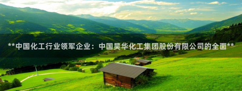 球盟会有没有黑单的：**中国化工行业领军企业：中国昊华化工集