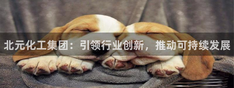 球盟会在线登录官网：北元化工集团：引领行业创新，推动可持续发
