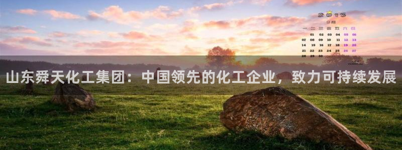 球盟会app最新地址在哪找：山东舜天化工集团：中国领先的化工