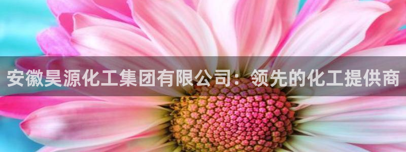 球盟会和中欧会的区别：安徽昊源化工集团有限公司：领先的化工提