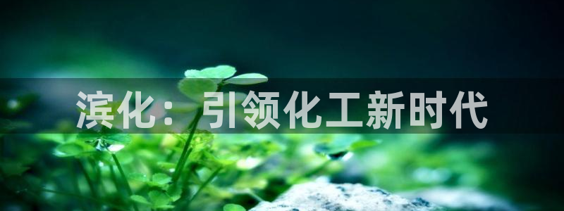 球盟会官方网站是什么：滨化：引领化工新时代