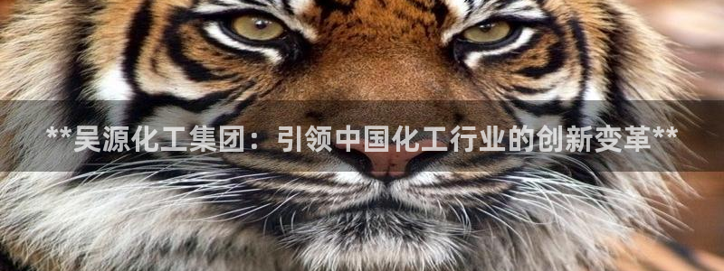 球盟会黑网：**吴源化工集团：引领中国化工行业的创新变革**