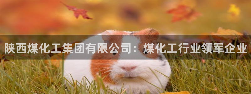 球盟会用的客服聊天是哪个软件：陕西煤化工集团有限公司：煤化工