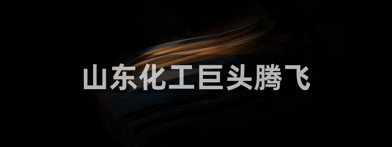 球盟会封号：山东化工巨头腾飞