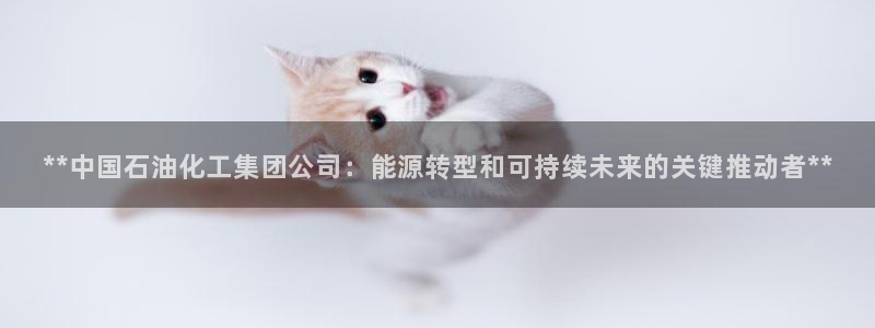 球盟会登陆：**中国石油化工集团公司：能源转型和可持续未来的