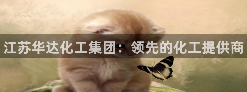 球盟会官方下载：江苏华达化工集团：领先的化工提供商
