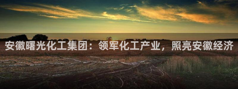 球盟会app