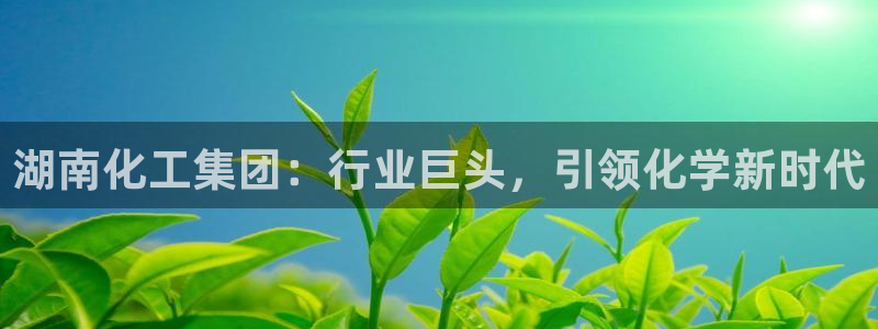 球盟会体育app官方网站