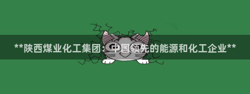 球盟会封号：**陕西煤业化工集团：中国领先的能源和化工企业*