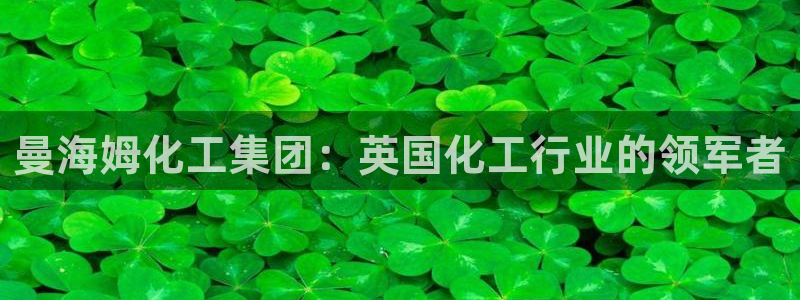 球盟会官方版下载地址