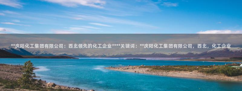球盟会论坛：**庆阳化工集团有限公司：西北领先的化工企业**