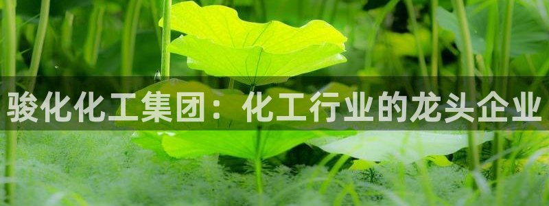 球盟会(中国)官方网站