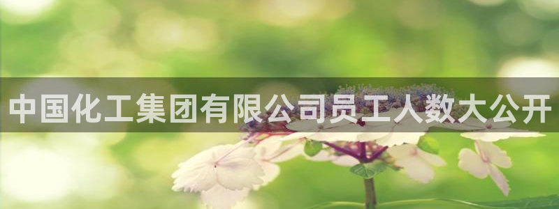 球盟会综合体育平台怎么样