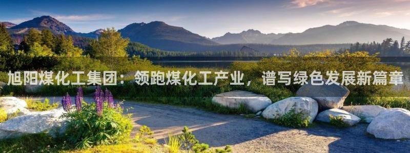 球盟会黑款吗