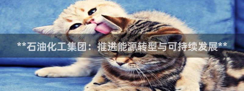 球盟会乐虎：**石油化工集团：推进能源转型与可持续发展**