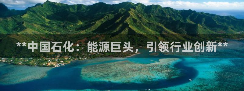 球盟会福利码2023最简单三个步骤：**中国石化：能源巨头，