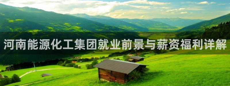 球盟会qmh网址：河南能源化工集团就业前景与薪资福利详解
