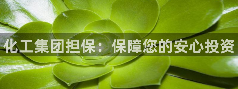 球盟会登录网址