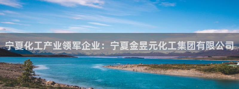 球盟会网址多少：宁夏化工产业领军企业：宁夏金昱元化工集团有限