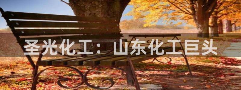 球盟会黑